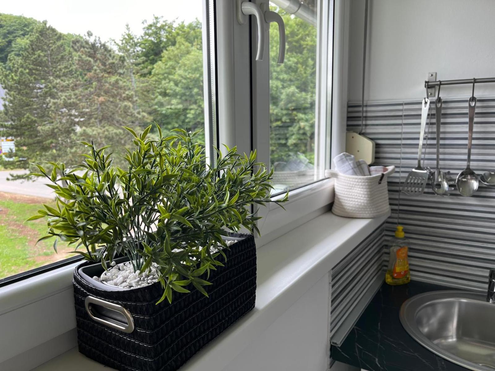 Eva Luxury Rooms & Apartments Plitvicka Jezera Luaran gambar